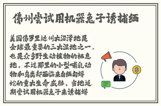 国产精品视频一区二区亚瑟品尚网